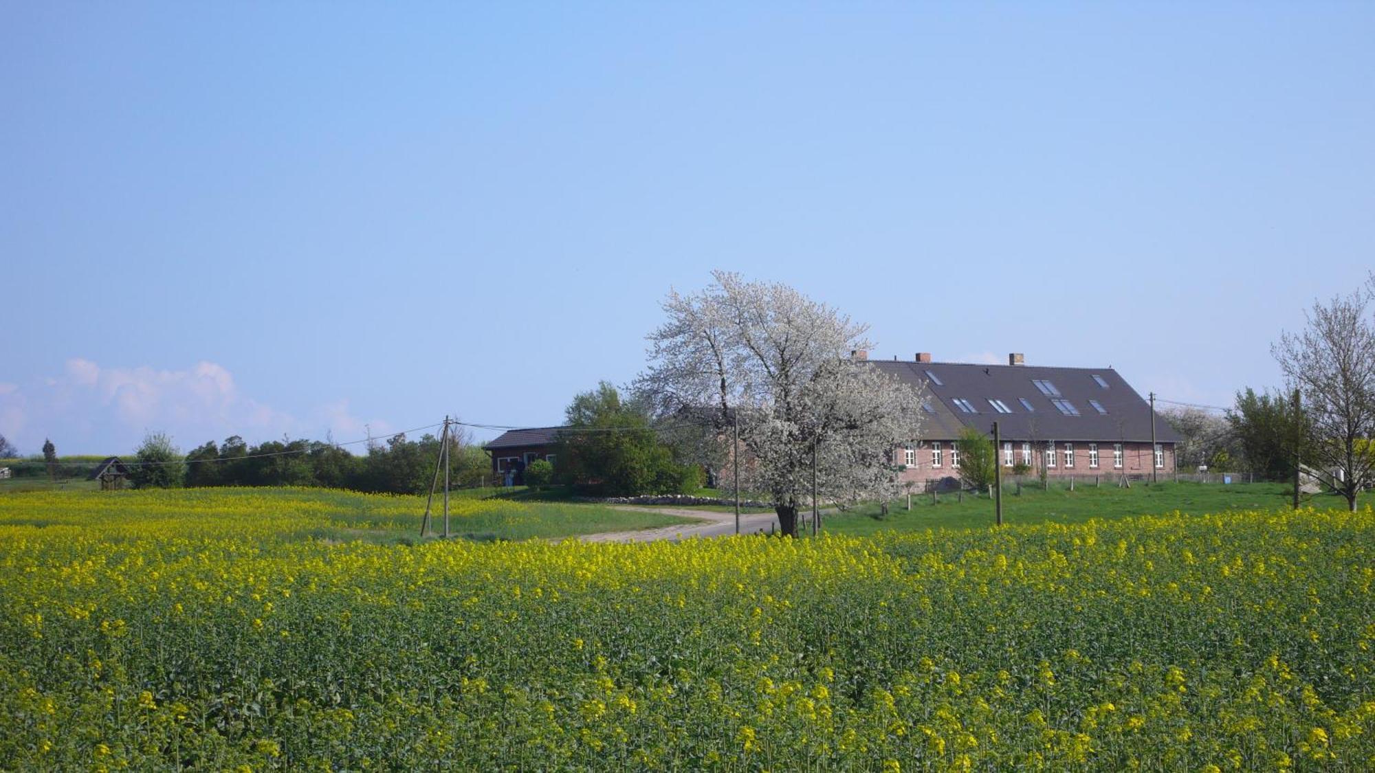 Vogelhaus Gobbin Apartment Lancken-Granitz Bagian luar foto