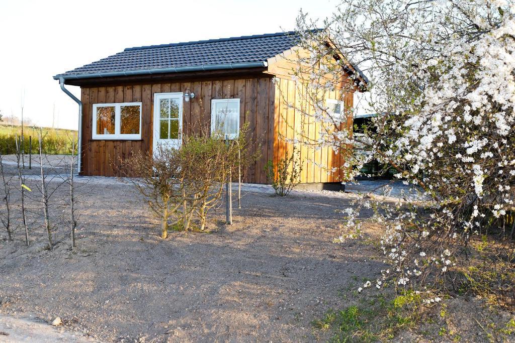 Vogelhaus Gobbin Apartment Lancken-Granitz Bagian luar foto